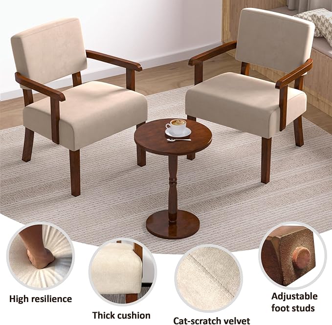 Accent Chair, Cat-Scratch Velvet Living Room Chairs Oversize with Soft Seat and Armrests for Dinning Room Bedroom Reading Room Waiting Room