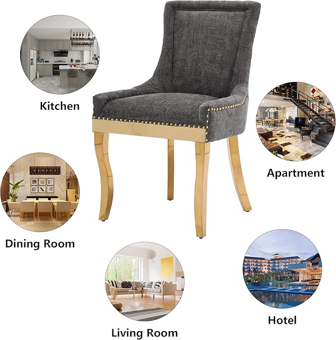 Luxury Fabirc Upholstered Dining Chairs Set of 6,Neutral Chenille Kitchen Room Chair with Nailhead Trim,6 Piece Modern Side Chairs for Dining Room,Living Room,Bar (Grey-Gold, Set of 6)