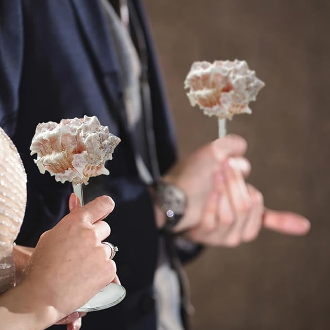 2Pcs Seashell Wine Glasses Wedding Wine Glasses Conch Goblet Martini Cocktail Glass Cup for Birthday Wedding Beach Bridesmaids Anniversary Party(C)