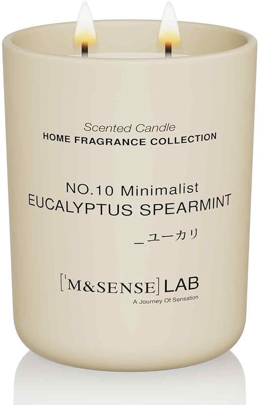 M&SENSE Natural Soy Candle| Eucalyptus Spearmint | 16.6 oz, 95H Burn | Minimalist Christmas Scented Candle for Relaxation, Gifting, Home Décor | for Bedroom, Office, Party Large