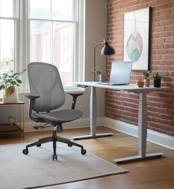 Mesh Office Chair – Ergonomic Office Chair with Lumbar Support, Adjustable Armrests & Sliding Soft Seat Cushion – Holds Up to 270lbs (Red)