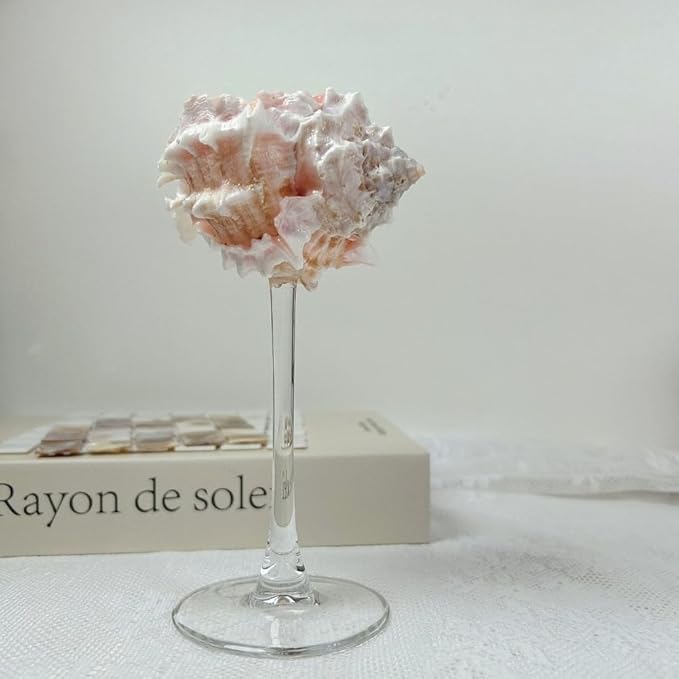 2Pcs Seashell Wine Glasses Wedding Wine Glasses Conch Goblet Martini Cocktail Glass Cup for Birthday Wedding Beach Bridesmaids Anniversary Party(C)