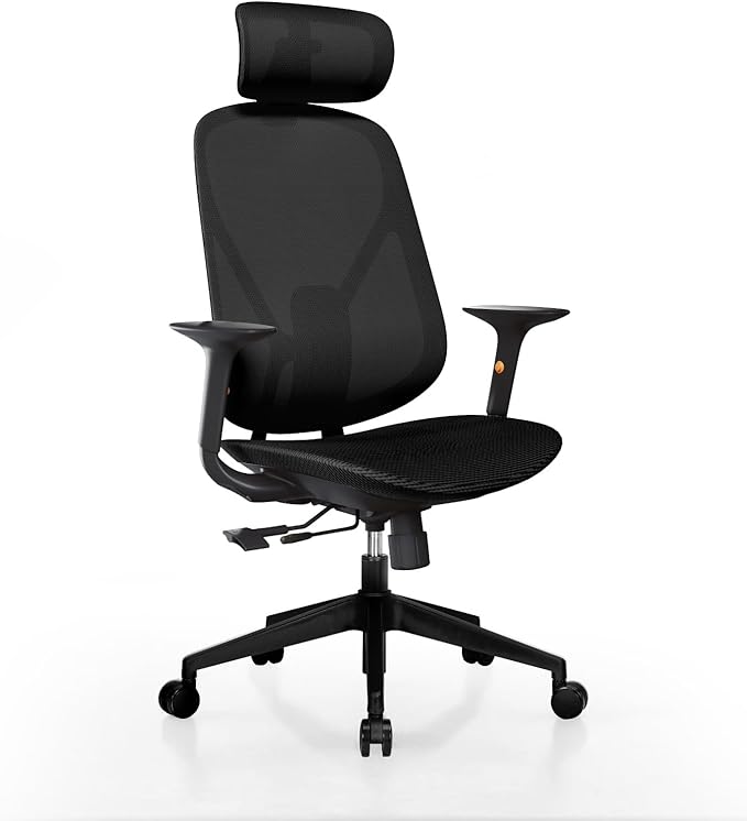 Mesh Office Chair – Ergonomic Office Chair with Lumbar Support, 3D Adjustable Headrest & Sliding Soft Seat Cushion – Holds Up to 270lbs (Black)