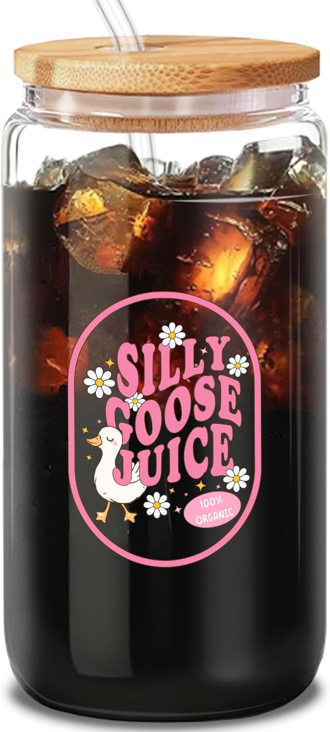 Cute Silly Goose Glass Cup Gifts, Pink Glass Tumbler Set with Straw, Cleaning Brush in Gift Box - Ideal Aesthetic Coffee Bar - Present for Women Friends - 16 Oz