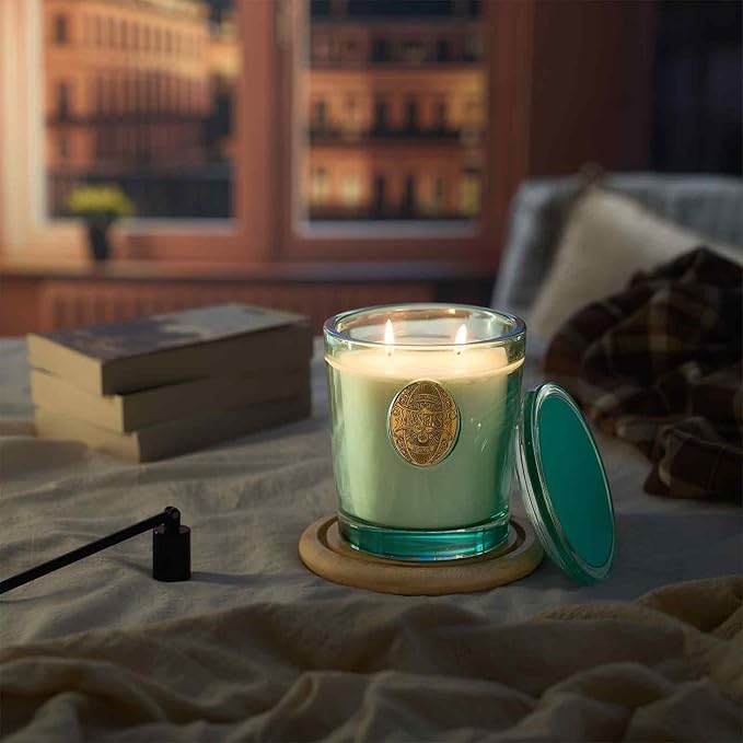 M&SENSE Large Two-Wick Aromatherapy Soy Candle | Eucalyptus Mint & Blue | 19.8 oz, 120H Burn Time | Luxury Scented Candle for Relaxation, Gifting, Home Décor | Ideal for Bedroom, Office