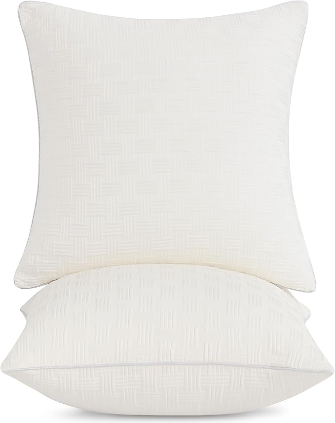 Leeden 20x20 Pillow Inserts Set of 2 - Soft and Fluffy Square Decorative Pillow Forms for Couch, Bed, Sofa - 20 Inch Premium Insert (Beige, Pack of 2)