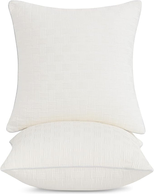 Leeden 20x20 Pillow Inserts Set of 2 - Soft and Fluffy Square Decorative Pillow Forms for Couch, Bed, Sofa - 20 Inch Premium Insert (Beige, Pack of 2)