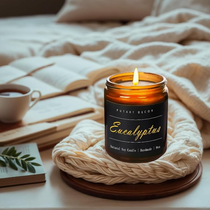Eucalyptus Mint Candles for Home Scented, Natural Soy Aromatherapy Non Toxic Candles with Long Lasting Fragrance & Clean Burn, Luxury Jar Candle Gift for Women, Men, Home Decoration 9oz
