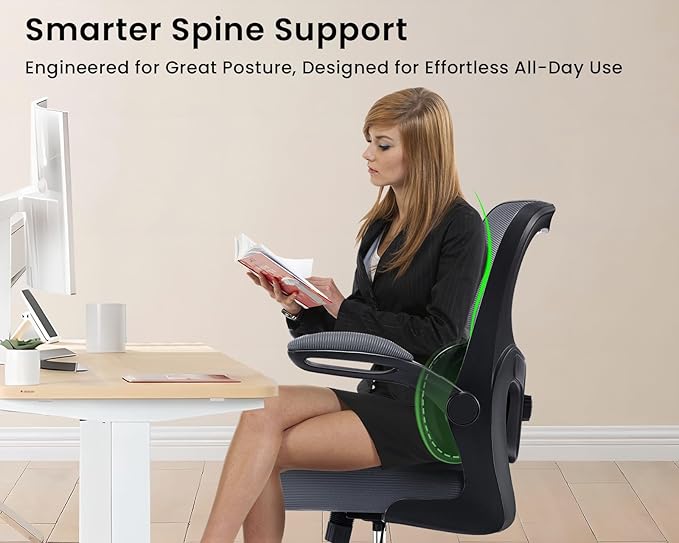 Ergonomic Office Chair, Comfy Desk Chair with Adjustable Lumbar Support, Mesh Computer Chair with Wheels, Flip-up Armrests, Swivel Rolling Executive Chair for Home Office, Gaming, Dark Gray