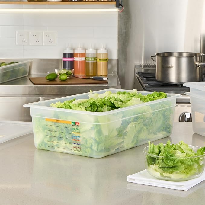 Restaurantware Food Pans Pack of 10 Plastic Rectangle Food Containers Full Size with Traceability Label, Storage Containers Dishwashable Hot Cold Friendly for Restaurants Buffet Commercial Use
