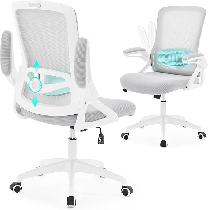 Ergonomic Office Chair, Desk Chair with Adjustable Lumbar Support, Breathable Mesh Comfy Computer Chairs with Flip-up Armrests Executive Task Chair for Adults Home Office(Gray)