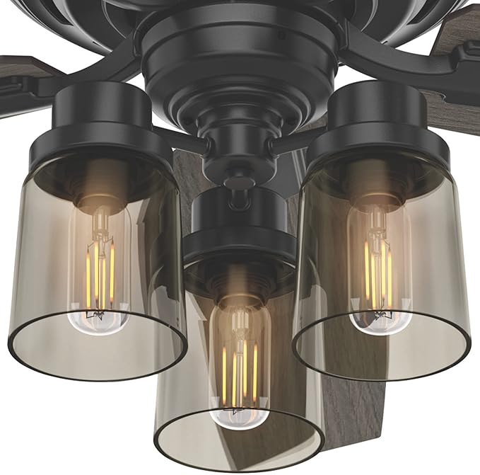 Hunter 52 inch Indoor Ceiling Fan with LED Lights and Remote Control - Black Ceiling Fan, Standard Mount, 5 Blades, For Bedroom, Living Room, or Kitchen, Quiet - Bennett 54189, Matte Black