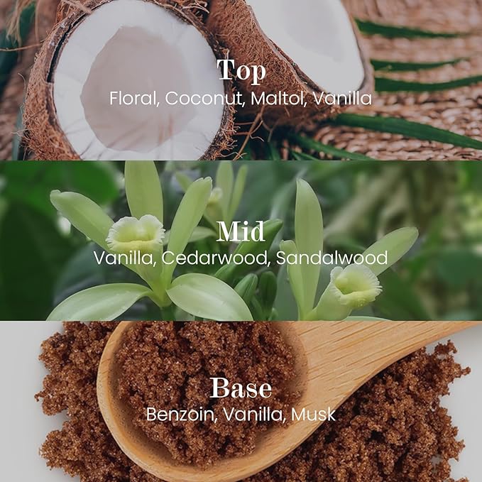 M&SENSE Natural Soy Candle| Vanilla Sandalwood | 8.82 oz, 50H Burn | Minimalist Christmas Scented Candle for Relaxation, Gifting, Home Décor | for Bedroom, Office, Party Medium