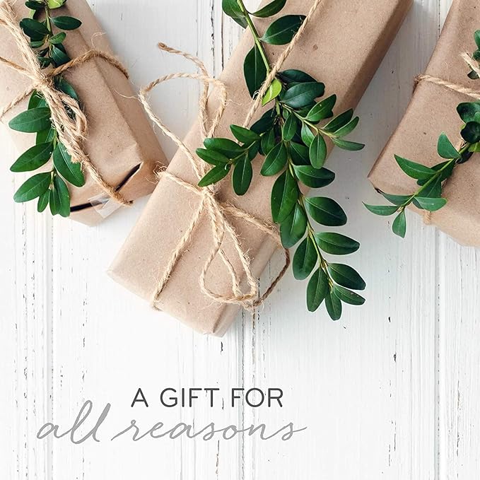 Thymes Scented Candles for Home Decor - Luxury Home Fragrance Gifts for Women & Men - Winter Candles with Crisp Notes of Sage, Eucalyptus, & Cypress Needles - Sage-Green (Highland Frost, 13 oz)