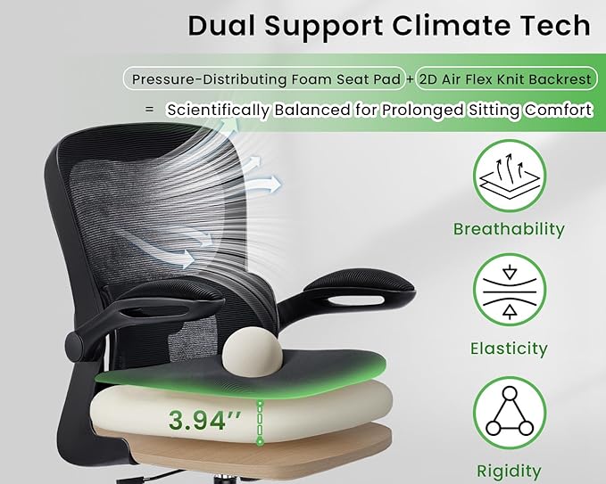 Ergonomic Office Chair, Comfy Desk Chair with Adjustable Lumbar Support, Mesh Computer Chair with Wheels, Flip-up Armrests, Swivel Rolling Executive Chair for Home Office, Gaming, Black