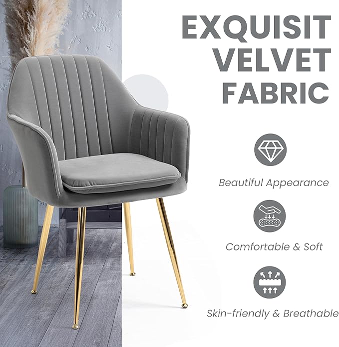 ECOTOUGE Matte Velvet Dining Chairs Set of 6, Modern Arm Chair with Golden Metal Legs, Living Room Accent Chairs for Kitchen, Grey