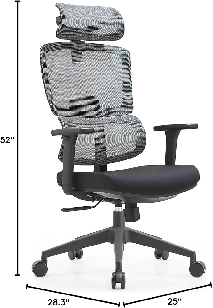 Premium Mesh Executive Home Office Desk Chair, with Ergonomic Lumbar, Black