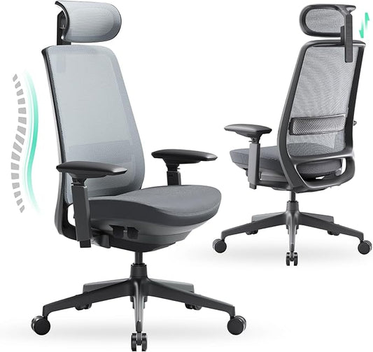 COLAMY Ergonomic Office Chair, High Back Computer Executive Desk Chair with Lumbar Support, Adjustable Headrest and 4D Arms, Slide Seat-BlackGrey