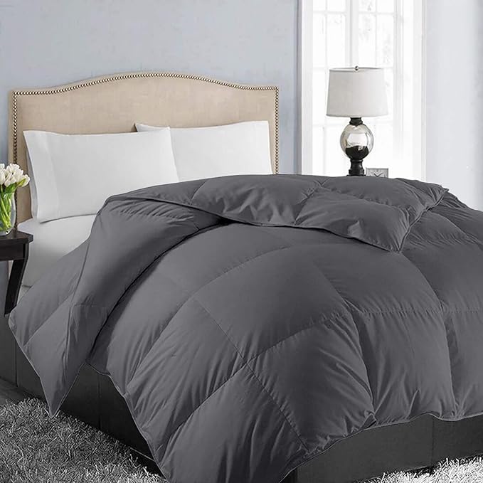 EASELAND Down Alternative Comforter Twin Size- Quilted Duvet Insert for All Seasons, Soft Cozy with Corner Tabs, Summer Winter Warm Bedding, Charcoal Grey 64x88