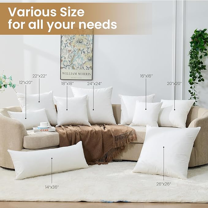 BHZ Throw Pillows 20x20 Euro Pillow Inserts Set of 2, Down Feather Alternative Pillow Inserts, Decorative Soft Large Square White Throw Pillows Insert for Couch Bed Dorm Sofa with Cotton Cover