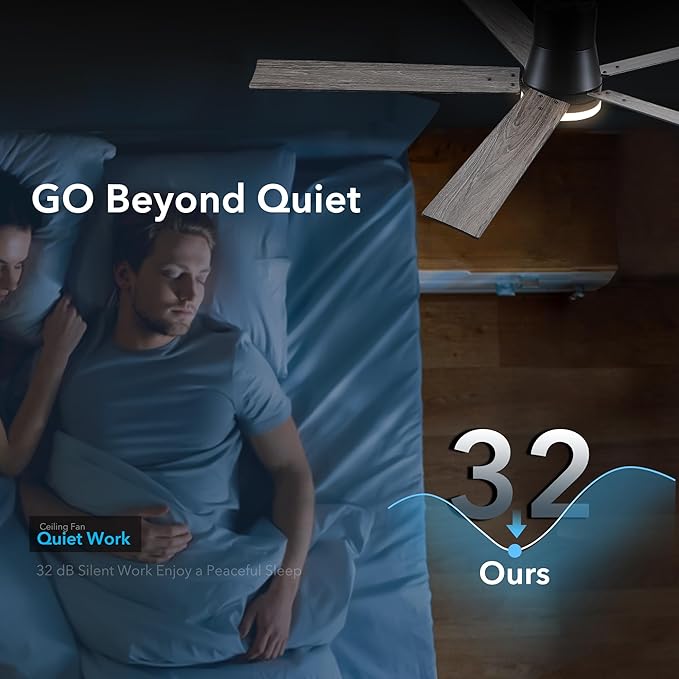 Rayqueen 60 Inch Ceiling Fans with Lights and Remote,Flush Mount Black Ceiling Fan,6 Speed Reversible DC Motor,3CCT Dimmable LED-Low Profile Design for Bedroom, Living room & Covered Outdoor