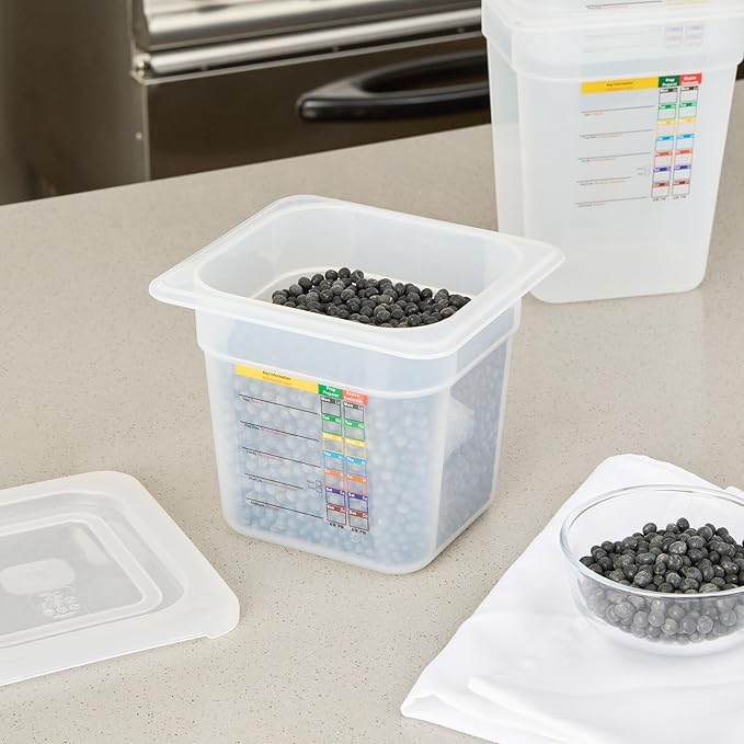 Restaurantware Food Pans Pack of 10 Plastic Square Food Containers 1/6 Size with Traceability Label, Storage Containers Dishwashable Hot Cold Friendly for Restaurants Buffet Commercial Use