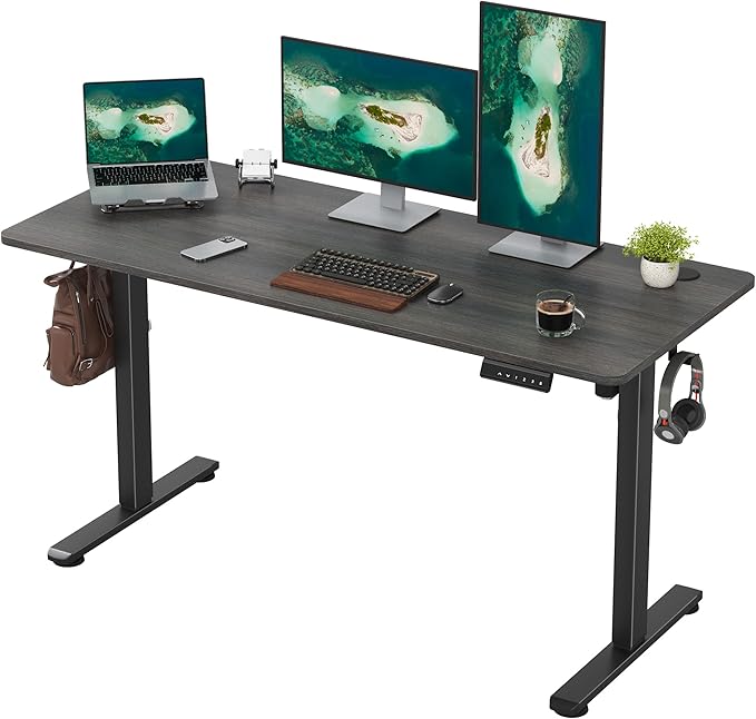 Casaphoria 55 x 24 inches Electric Standing Desk, Sit to Stand Desk with Memory Height Adjustment, Home Office Computer Desk for Writing and Games, Grey