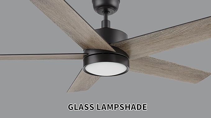 CEME 52 Inch Flush Mount Ceiling Fan with Lights, 3 Light Colors Dimmable Ceiling Fan Low Profile, Reversible 10 Speeds DC Motor, Black