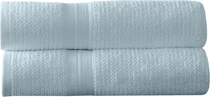 Arm & Hammer Quick Dry Hand Towels, 2 Piece, Light Blue