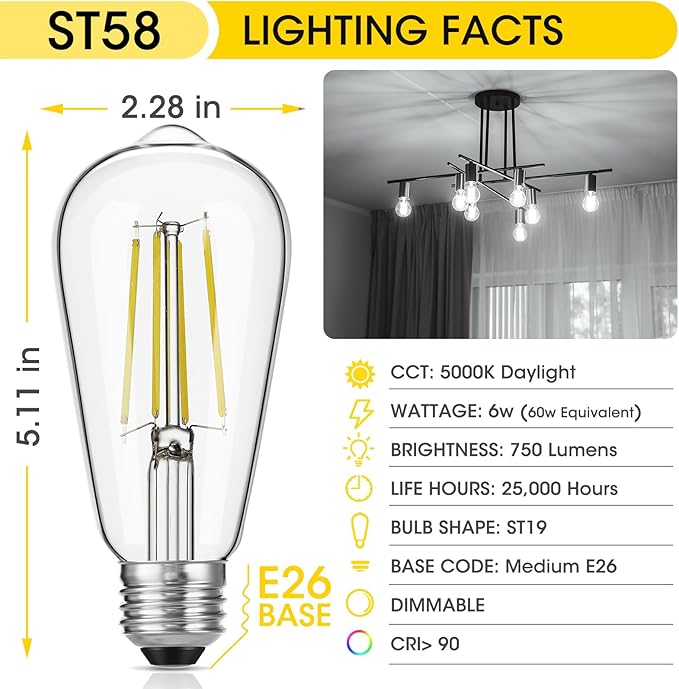 LED Edison Bulbs, 60W Equivalent ST19, Efficient 6W LED, E26 Medium Base Light Bulbs, High Brightness 750 Lumens, 5000K Daylight, Clear, Pack of 4