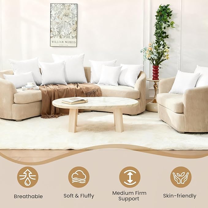 BHZ Euro Throw Pillow Inserts, 26x26 Down Feather Alternative Pillow Inserts Set of 2, Decorative Soft Large Square White Throw Pillows Insert for Couch Bed Dorm Sofa with Cotton Cover
