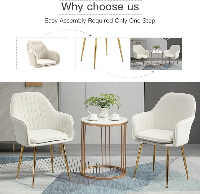 ECOTOUGE Modern Dining Chairs Set of 2, Upholstered Dining Room Chairs with Golden Metal Legs, Matte Velvet Kitchen Chairs for Dining Table, Accent Chairs for Living Room, Beige
