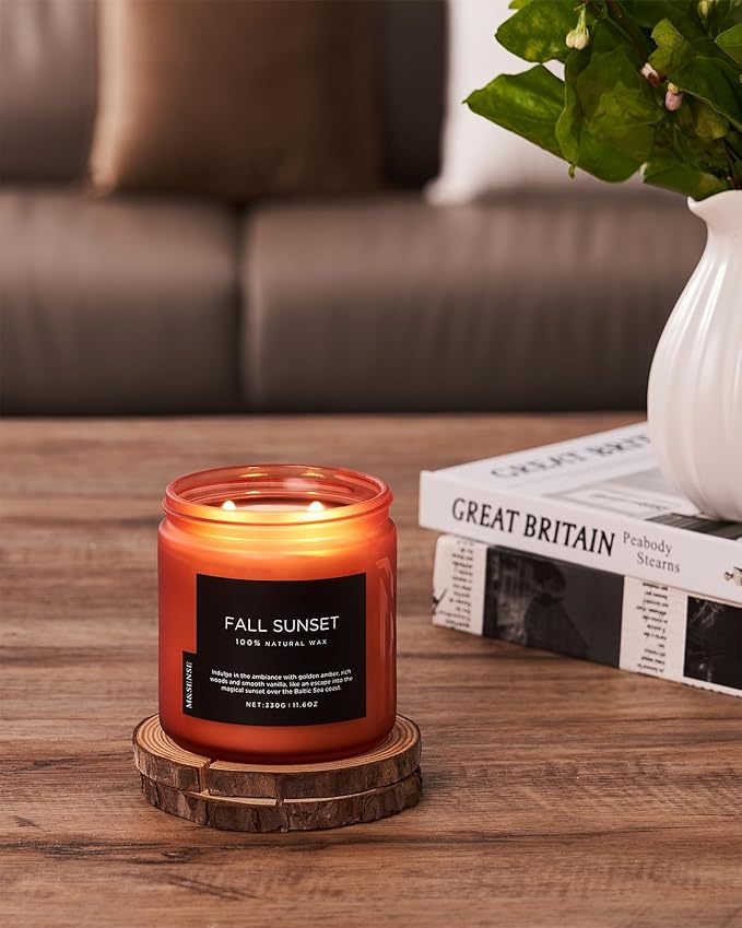 M&SENSE Baltic Amber Fall Scented Candle, 11.6oz Clean Natural Soy Wax Non Toxic Up to 70 Hours Burn Time 2 Cotton Wick Housewarming Candle for Home Scented