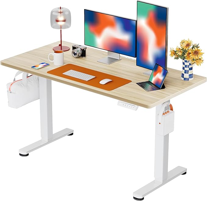 ErGear Height Adjustable Electric Standing Desk, 48 x 24 Inches Sit Stand up Desk, Memory Computer Home Office Desk with Two-Piece Desktop (Natural)