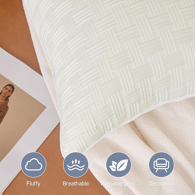 Leeden 20x20 Pillow Inserts Set of 2 - Soft and Fluffy Square Decorative Pillow Forms for Couch, Bed, Sofa - 20 Inch Premium Insert (Beige, Pack of 2)