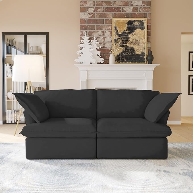 WJShome Love Seat Sofas, Modern Down Filled Modular Sectional Sofas, Cushion Covers Removable, Customizable Modular Sectional Couch for Living Room Apartment Lounge Bedroom (Black, 2 Seat)