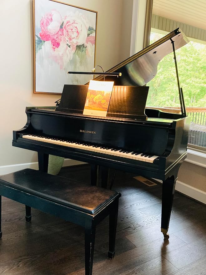 Cocoweb 19" LED Grand Piano Light in Mahogany Bronze with Brass Accents with Dimmer Clip