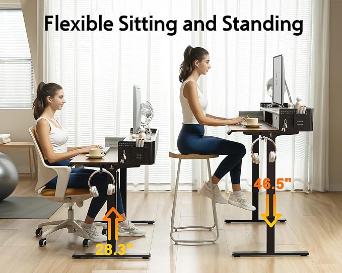 48x24 Inches Electric Standing Desk with 2 Drawers, Height Adjustable Stand up Desk for Home Office, Ergonomic Sit to Stand Table with Storage Shelf, DIY Board, Hooks, Rustic Brown
