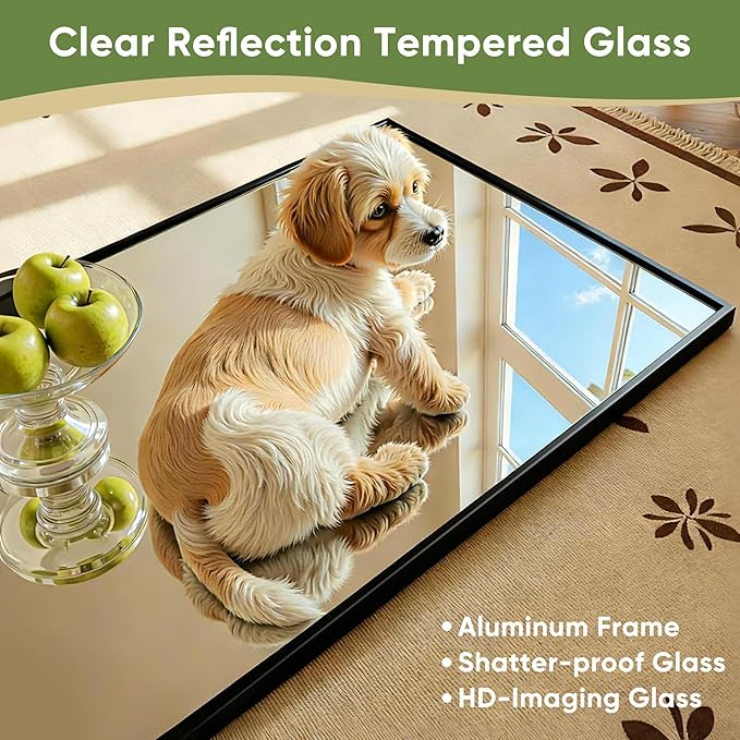 Full Length Mirror, 59"x18" Full Body Mirror, Floor Mirrors with Stand, Body Mirrors Standing Hanging Leaning Against Wall,Aluminum Frame Mirrors for Bedroom Cloakroom,Living Room,Black
