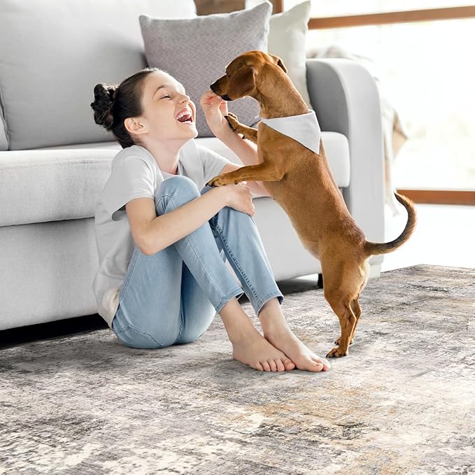 Area Rug Living Room Rugs - 9x12 Modern Abstract Soft Indoor Neutral Washable Rug Stain Resistant Non-Slip Low Pile Carpet for Bedroom Dining Room Home Office - Charcoal Grey