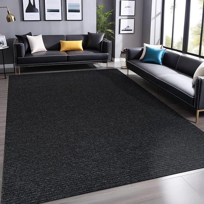Non Slip Dark Gray Solid Rubber Back Thing Rug for Living Room 6x9 Area Rugs for Kitchen, Rugs for Bedroom, Stain Resistant Easy Cleaning Non Shedding Carpet Dark Gray 6 x 9