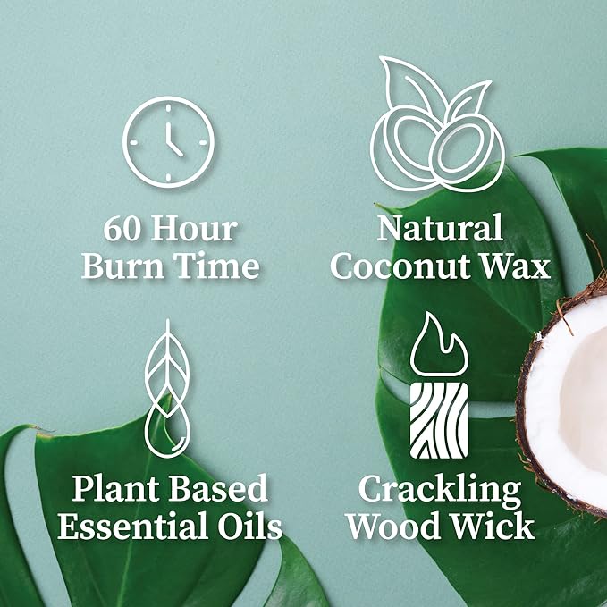 Hemlock Park Crackling Wood Wick Candle Handcrafted with Natural Coconut Wax (Standard 8 oz, Smoked Palo Santo)