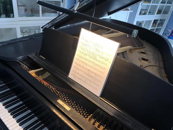 Cocoweb 19" LED Grand Piano Light in Black with Satin Nickel Accents with Dimmer Clip