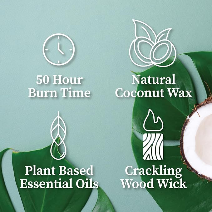 Hemlock Park Amber & Gold Wood Wick Candle Handcrafted with Natural Coconut Wax (Standard 7.2 oz, Eucalyptus Mint)