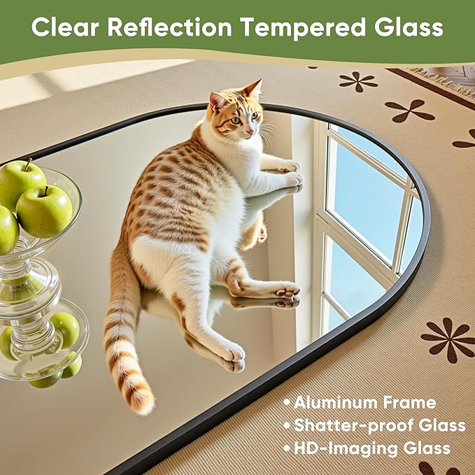 Full Length Mirror, 64"x21" Arched Full Body Mirror, Floor Mirrors with Stand, Standing Hanging Leaning Against Wall,Aluminum Frame Mirrors for Bedroom Cloakroom,Living Room,Black