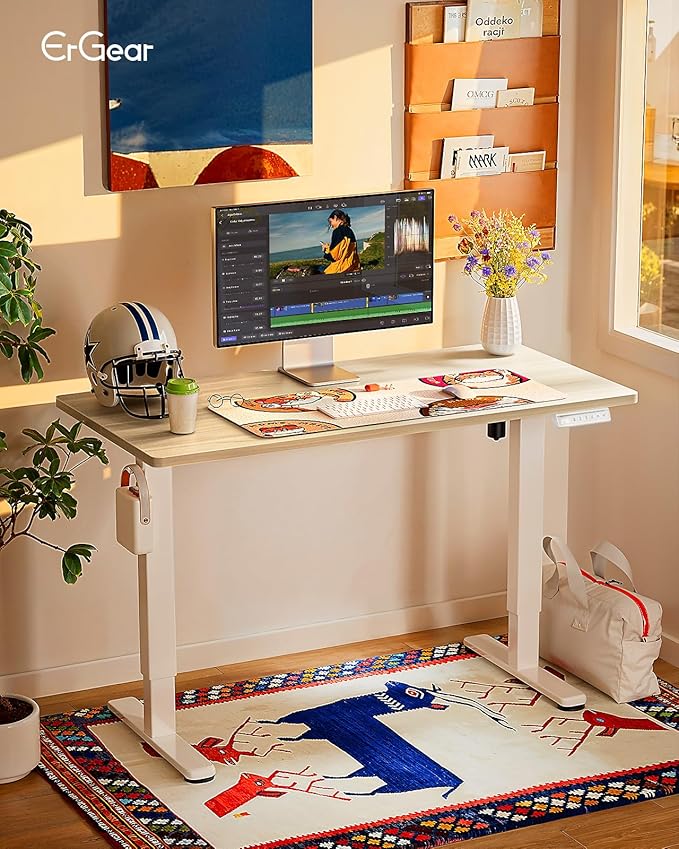 ErGear Height Adjustable Electric Standing Desk, 48 x 24 Inches Sit Stand up Desk, Memory Computer Home Office Desk with Two-Piece Desktop (Natural)