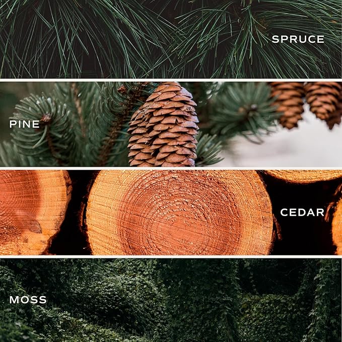 Sweet Water Decor Christmas Tree Soy Candle - Pine Needles, Cedarwood, Cypress, and Evergreen Holiday Scented Candles for Home - 11oz White Jar + Wood Lid, 50+ Hour Burn Time, Made in The USA