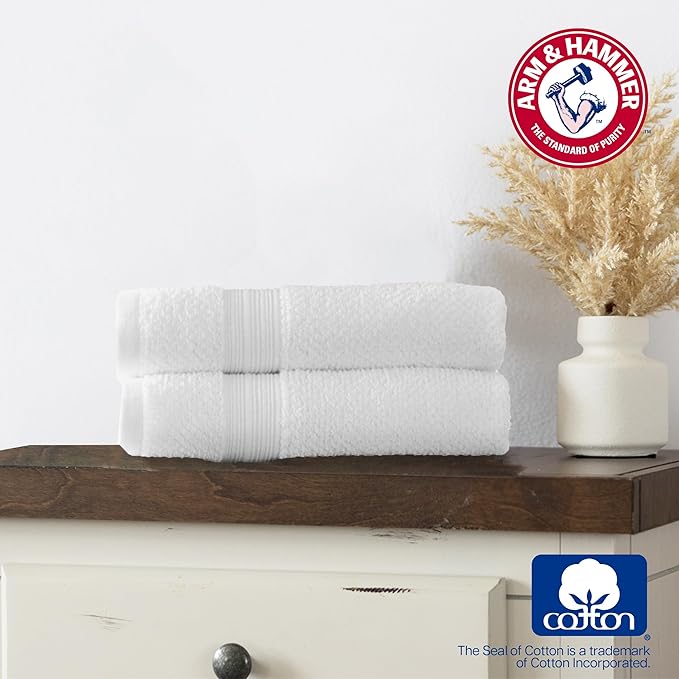 Arm & Hammer Quick Dry Hand Towels, 2 Piece, Light Blue