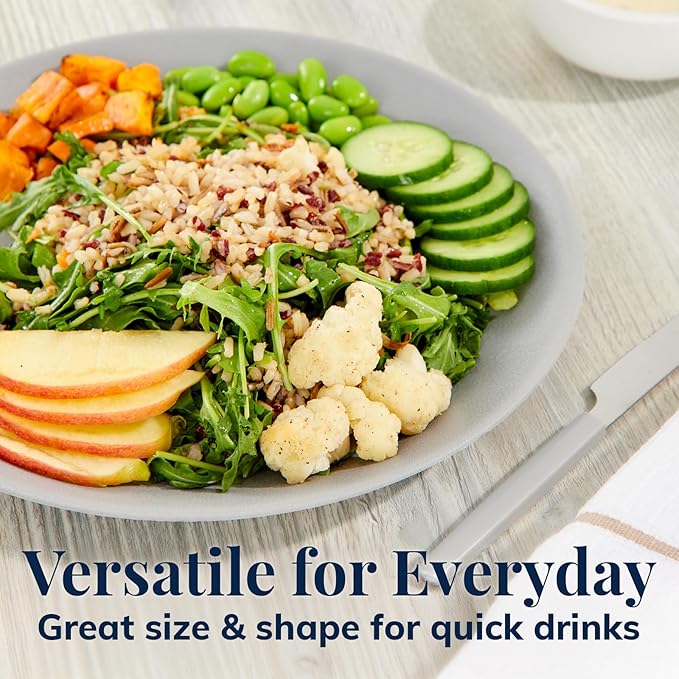 US Acrylic Everest Ultra-Durable Plastic 10 inch Dinner Plates in Grey Stone | Set of 6 Reusable, BPA-Free, Made in the USA, Dishwasher Safe Dinnerware