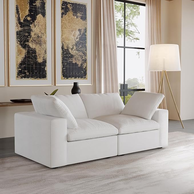 JACH Modular Cloud Sectional Sofa, Love Seat Cloud Couch, Modern Comfy Sofas for Apartment Small Space, Covers Removable, Minimalist White Couch for Living Room